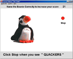 Screen Shot Slide Show